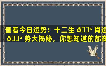 查看今日运势：十二生 💮 肖运 🌺 势大揭秘，你想知道的都在这里！